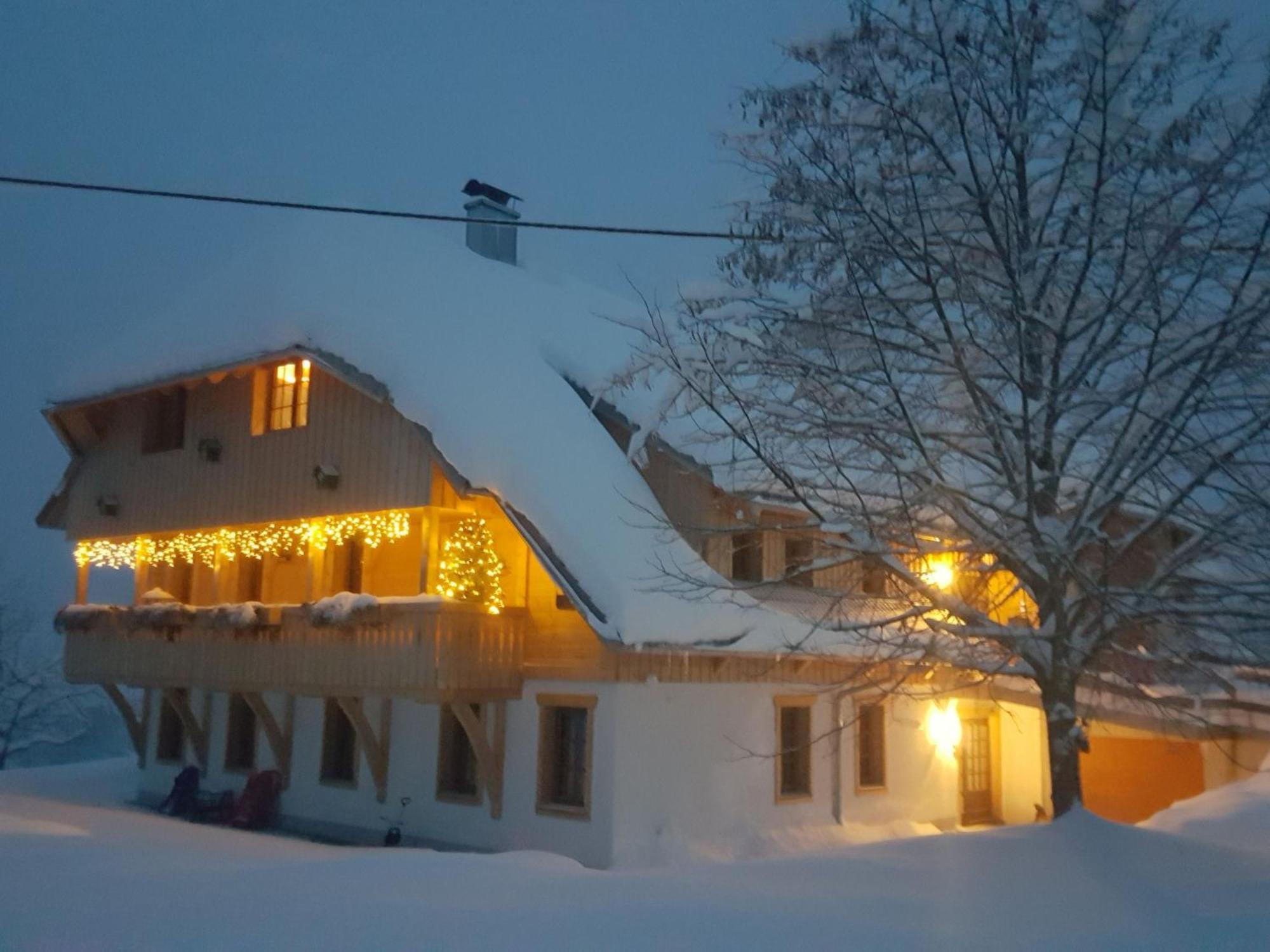 Fischerhof โฮเคนชวันด์ ภายนอก รูปภาพ